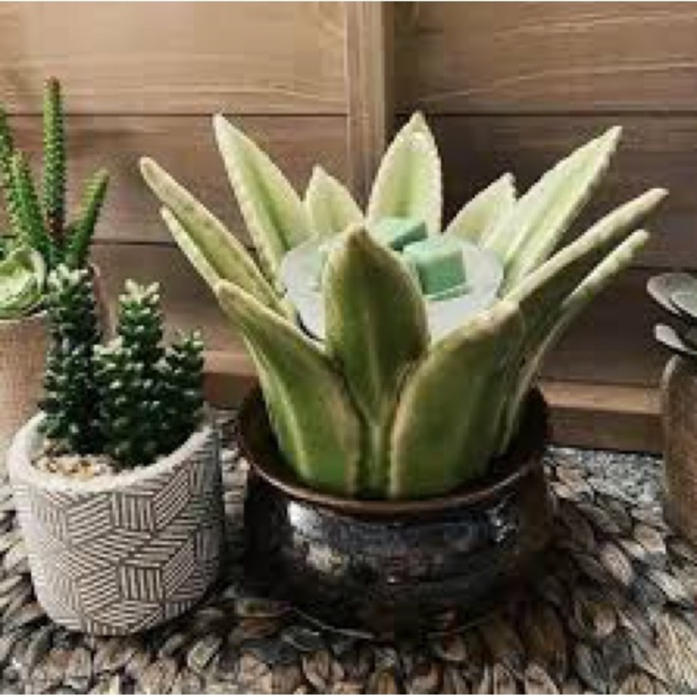 Scentsy - Aloe Vera Warmer [New In Box]